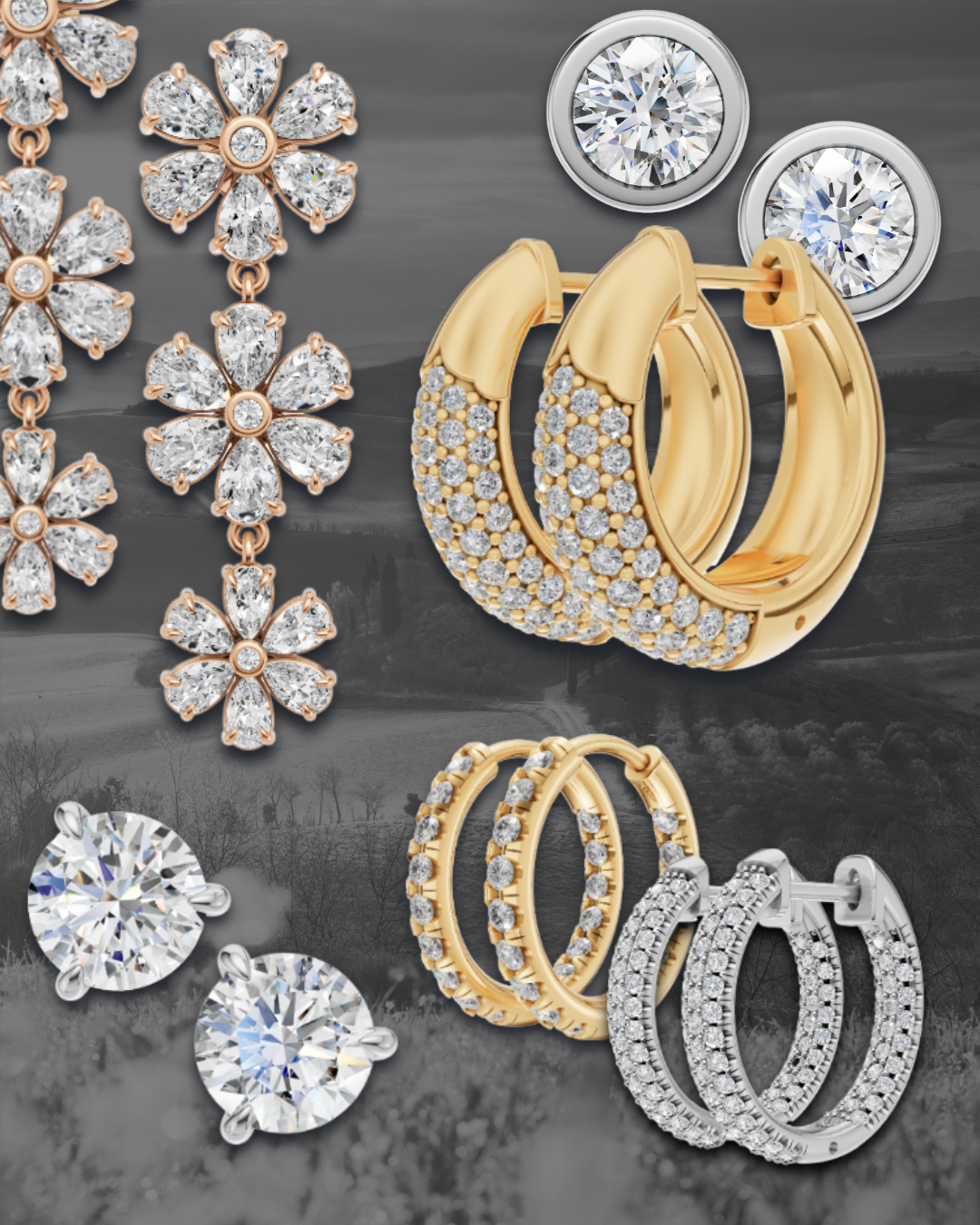 Earrings